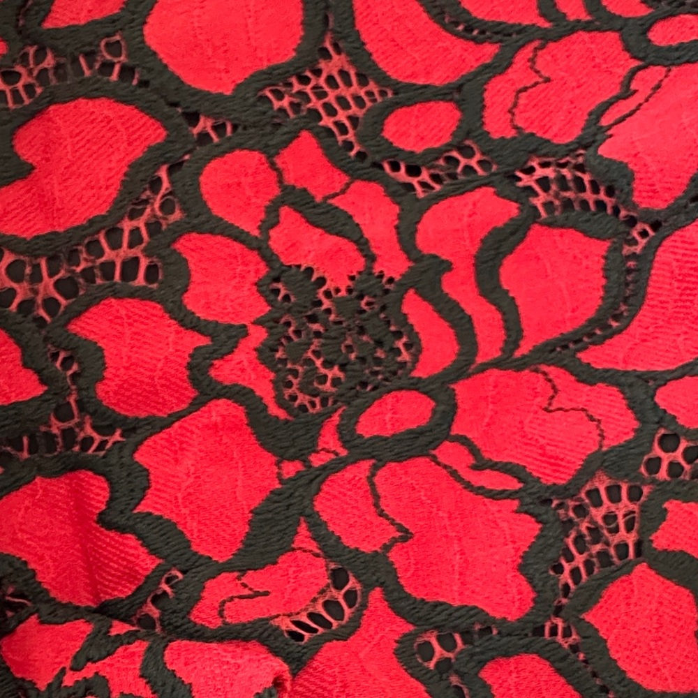 Express High Waist Floral Shorts in Red and Black